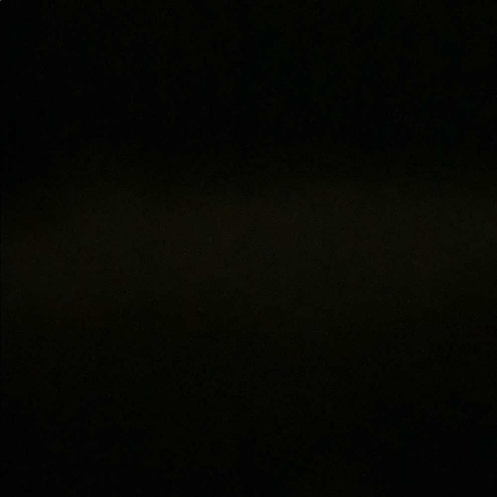 Meet your Posher, Lily